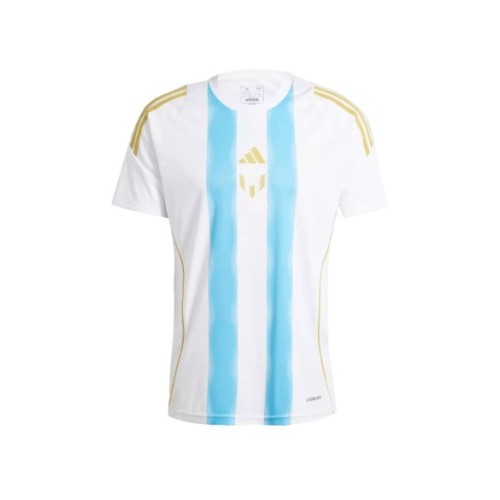 Camiseta de entrenamiento Messi Argentina Pitch 2 Street 2024 - Azul y blanco