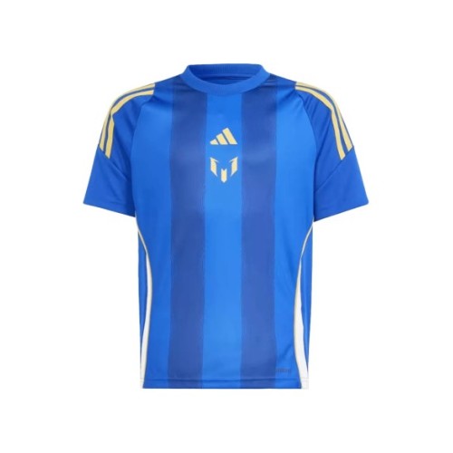 Camiseta de entrenamiento Messi Argentina Pitch 2 Street 2024 - Azul