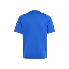 Camiseta de entrenamiento Messi Argentina Pitch 2 Street 2024 - Azul