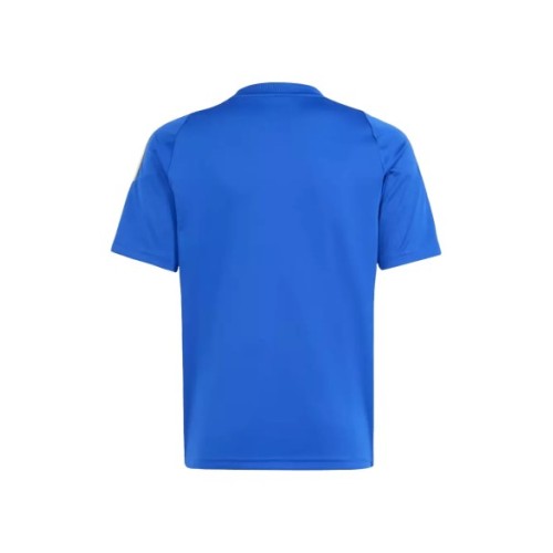 Camiseta de entrenamiento Messi Argentina Pitch 2 Street 2024 - Azul