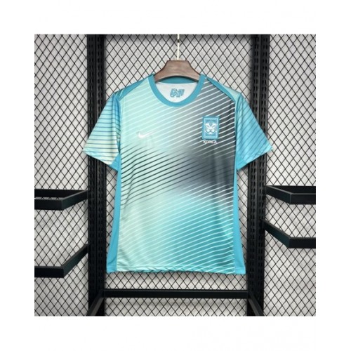 Camiseta de entrenamiento previo al partido de Corea del Sur 2024/25