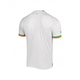 Camiseta de Senegal 2022 Auténtica Local Copa del Mundo