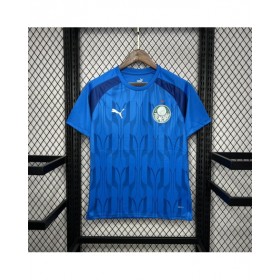 Camiseta de entrenamiento prepartido azul del Palmeiras 2024/25