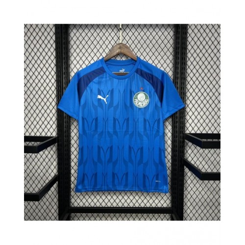 Camiseta de entrenamiento prepartido azul del Palmeiras 2024/25