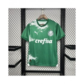 Camiseta verde y blanca edición especial Palmeiras 2024/25