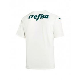 Camiseta Palmeiras 2022/23 Auténtica Segunda equipación