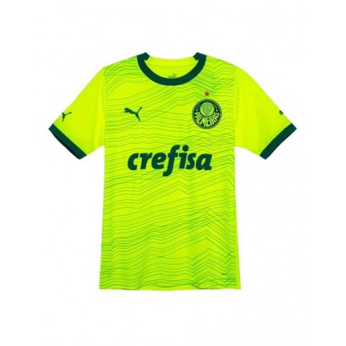 Camiseta Palmeiras 2022/23 Visitante