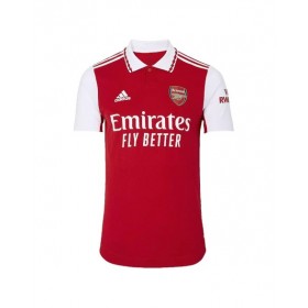 Camiseta del Arsenal 2022/23 Local Auténtica - Concepto