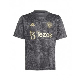 Camiseta prepartido del Manchester United 2023/24 gris