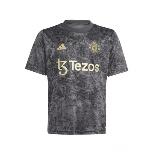 Camiseta prepartido del Manchester United 2023/24 gris