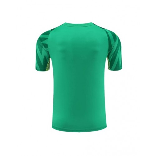 Camiseta de portero del Manchester City 2023/24 verde