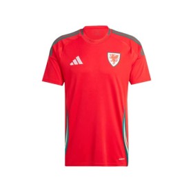 Camiseta local de Gales para la Eurocopa 2024